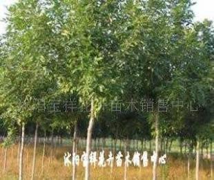 供應電線電纜填充用高檔麻線_紡織、皮革_世界工廠網(wǎng)中國產(chǎn)品信息庫