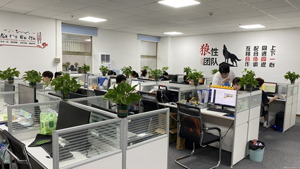 廣州星照信息咨詢 專業信息咨詢服務的引領者